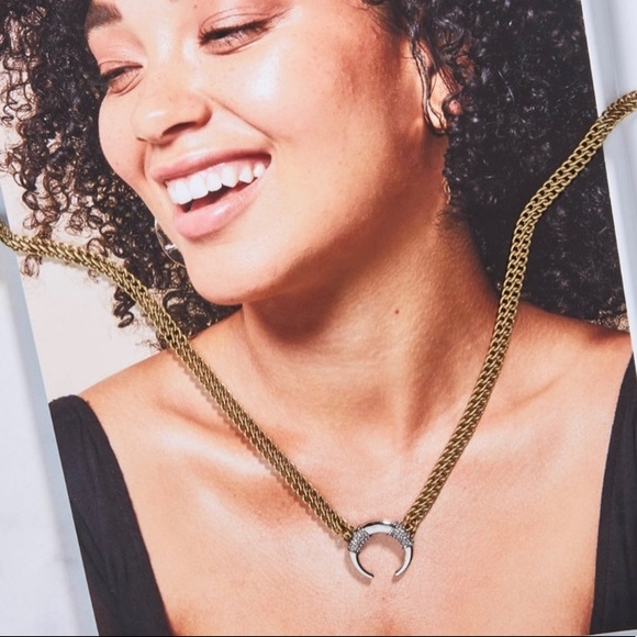 :: Stella & Dot | Double Take Silver + Gold + Pavé Horn Necklace - Picture 2 of 10